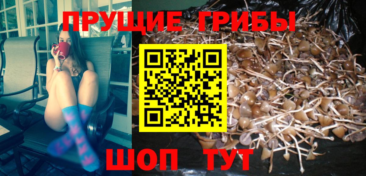 Псилоцибиновые грибы мухоморы  Вход с VPN  Галлюциногенные грибы мицелий  Приморско-Ахтарск 